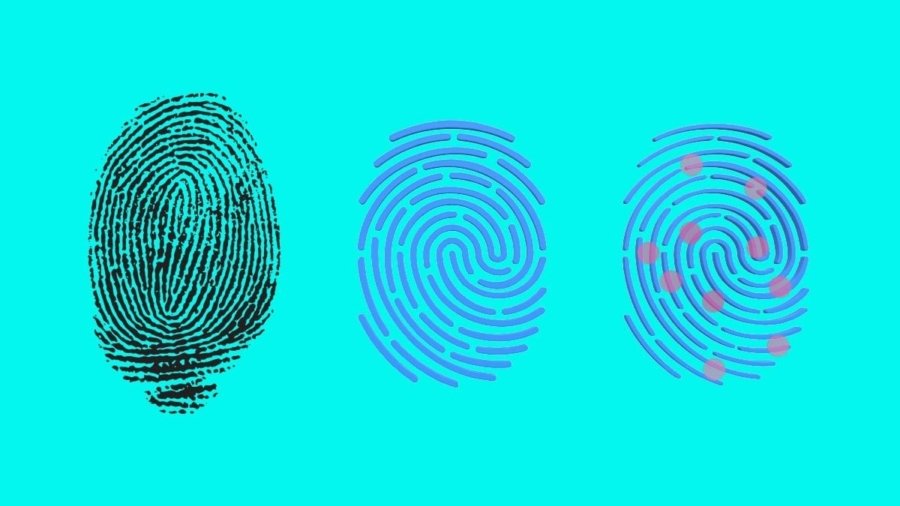63b3f8706445507634f33300_what is a fingerprint