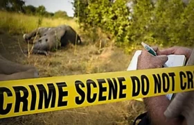 An introduction to Wildlife Crime Scene Investigation