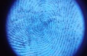 Fingerprint Identification: Principles and Patterns