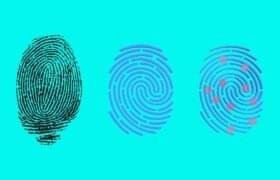 What is a Fingerprint? Definition, Types, and Trends (2025)