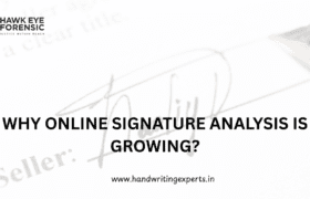 Why Online Signature Analysis Is Growing?