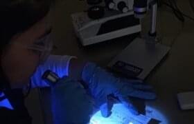 Visible Light vs UV Light in Forensic Document Examination: A Comparative Analysis