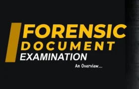 Common Errors in Questioned Document Handling and How to Avoid Them